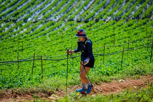 BIB: 
                            <button type="button" onclick="openModal(19164459)" class="btn btn-primary btn-sm float-right btn-popup" data-toggle="modal" data-target=".modal-high-quality">
                        <i class="fas fa-shopping-cart"></i> Add to Cart
                    </button>
                                            <button type="button" onclick="isThisMe(19164459, true)" class="btn btn-success btn-sm float-right btn-popup btn-isme hidden" data-toggle="tooltip" data-placement="bottom" title="นี่คือรูปของคุณใช่ไหม คลิกที่นี่เพื่อเอาเข้าอัลบั้ม">
                        <i class="fas fa-plus"></i> Add to album
                    </button>
                    <button type="button" onclick="isThisMe(19164459, false)" class="btn btn-warning btn-sm float-right btn-popup btn-isnotme hidden">
                        <i class="fas fa-ban"></i> Remove from album
                    </button>